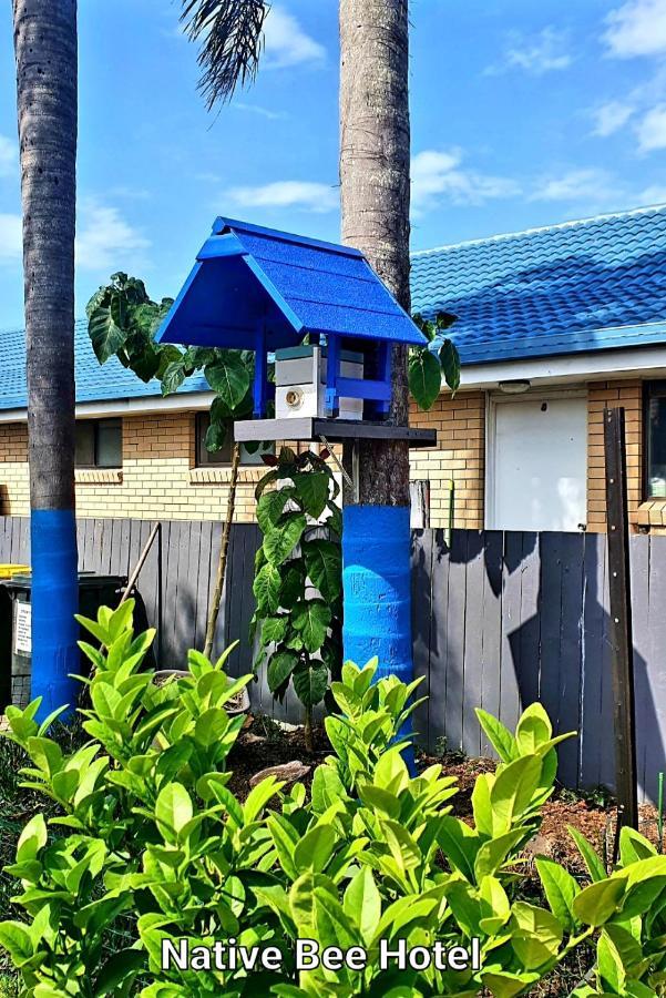 City Lights Motel Tweed Heads Exteriér fotografie